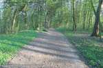 Top Road