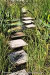 Walk The Path