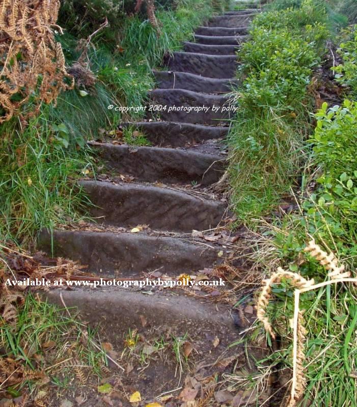 Tower Steps