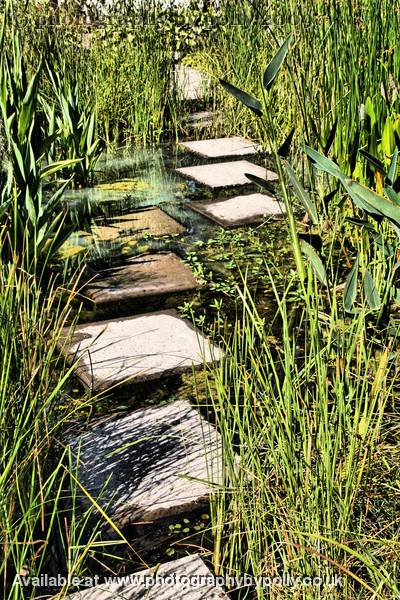Walk The Path