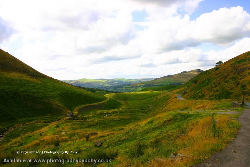 Winding Walk