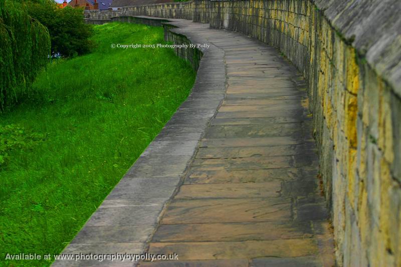 York Wall