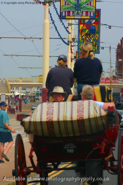 Blackpool Scowl