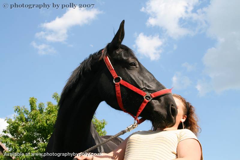 Horse Snogs