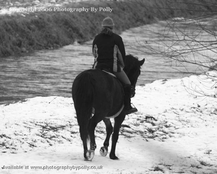 Lonesome Rider