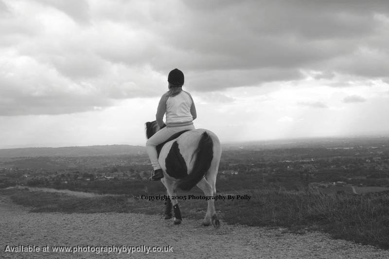 Pony Trekking