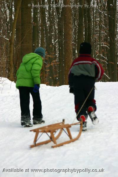 Sledging