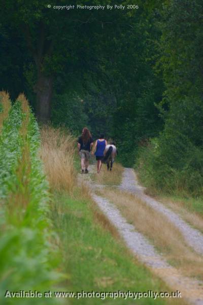 Walking The Pony