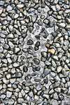 Gravel Grained