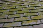 Roof tiles