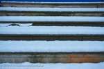 Snow Steps