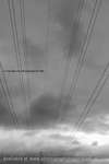 Wirelines