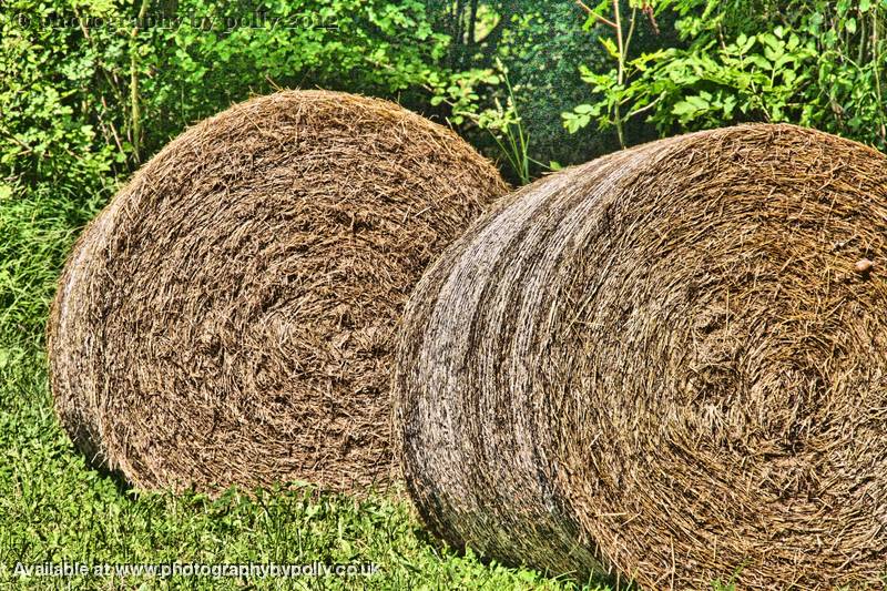 Bales 2