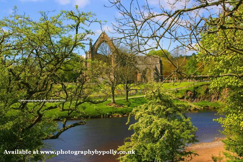 Bolton Abbey