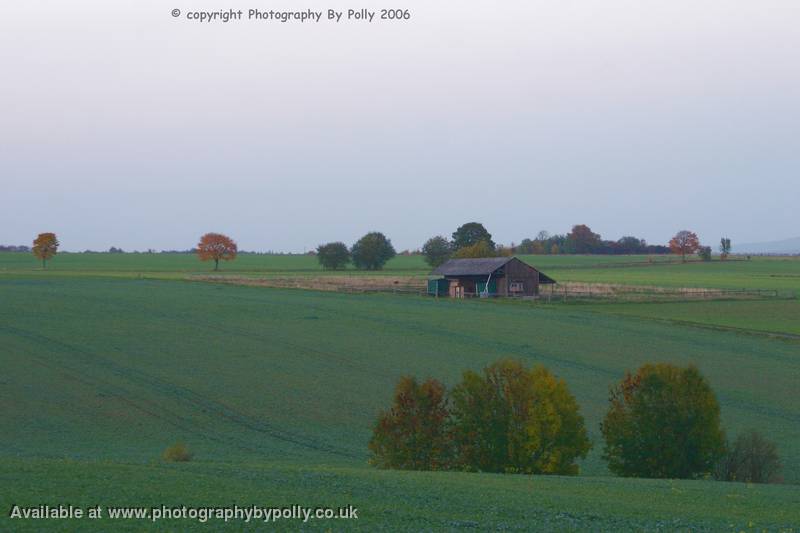 Country Pad