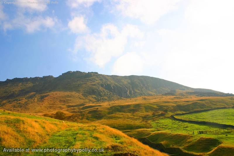 Dovestone 15