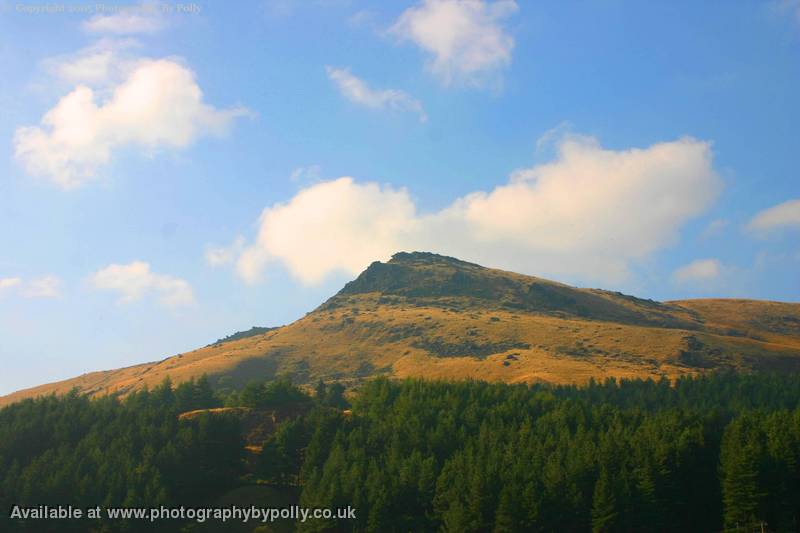 Dovestone 16