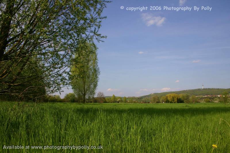 Grass Waves