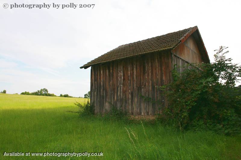 Green Chalet