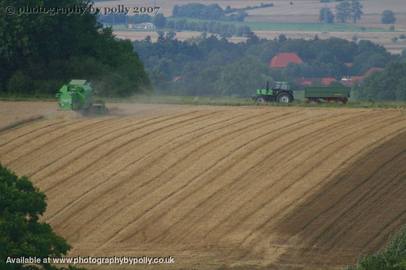 Harvest