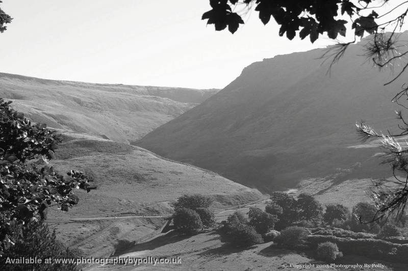 Hills Of Gray