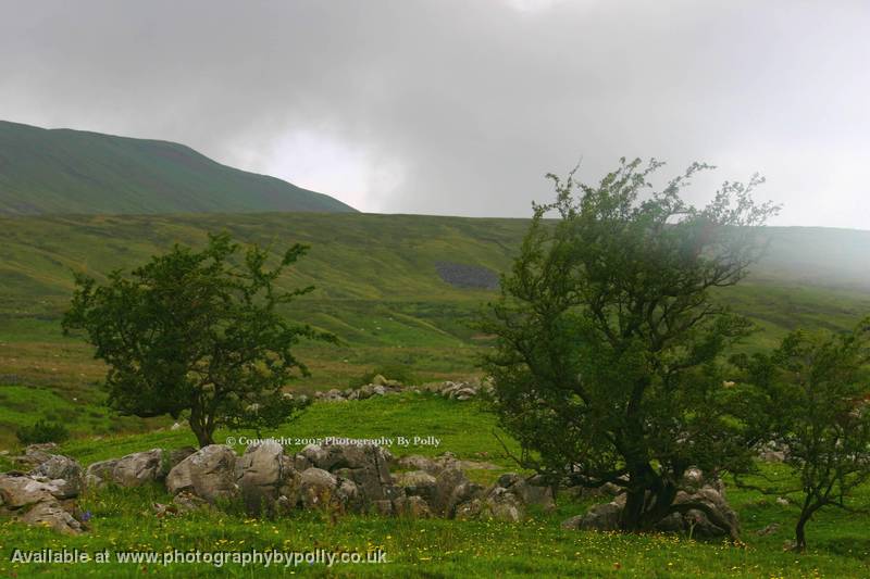 Ingleborough Clouds