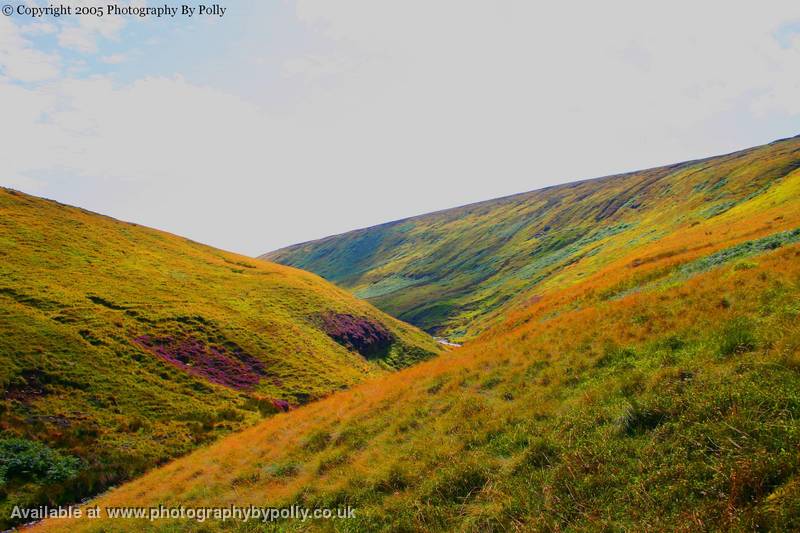 Lancashire fourteen