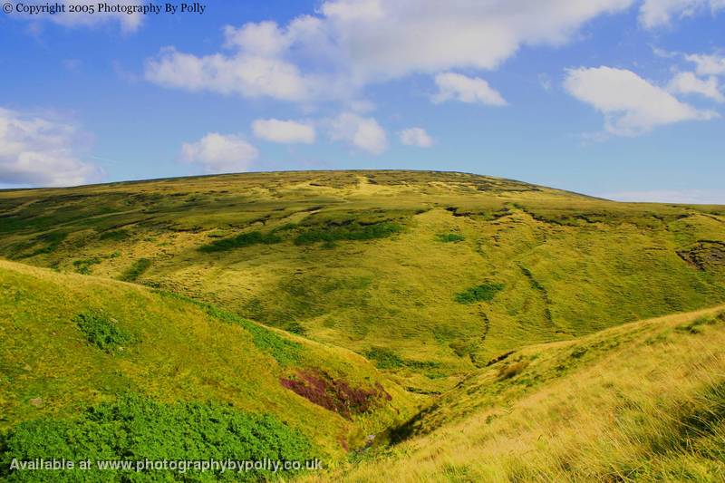 Lancashire fifteen