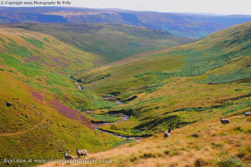 Lancashire seventeen