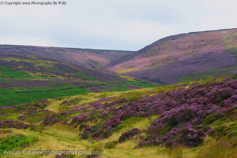 Lancashire two