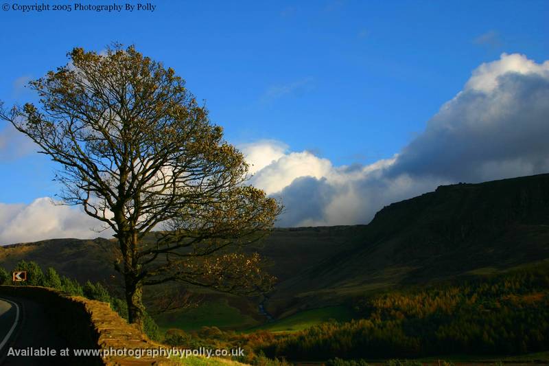 Lancashire twenty seven