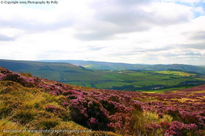 Lancashire three