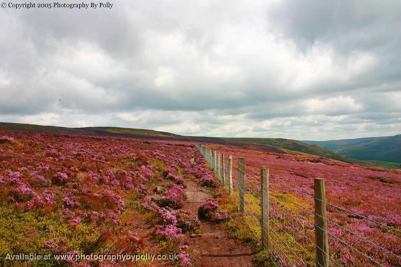 Lancashire six