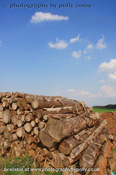 Log Pile