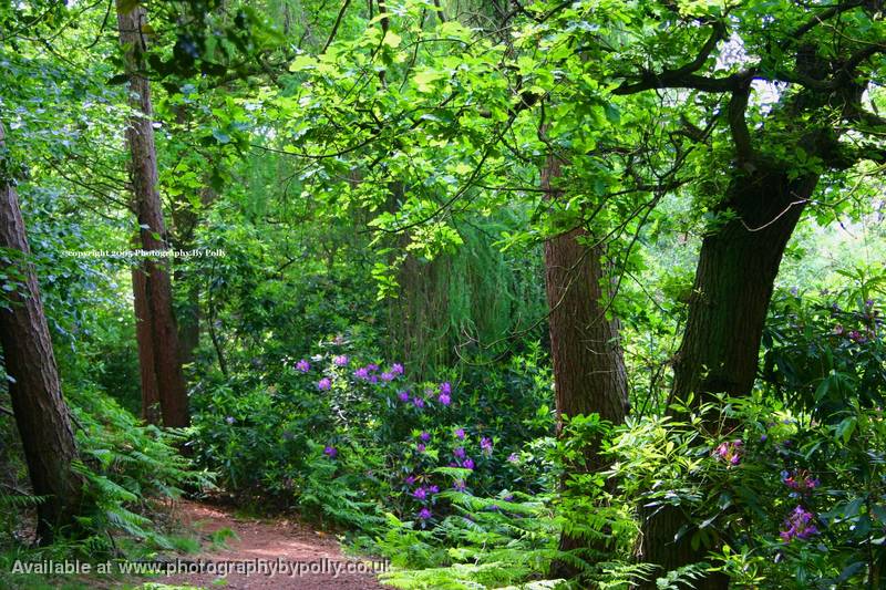 Marple Ridge