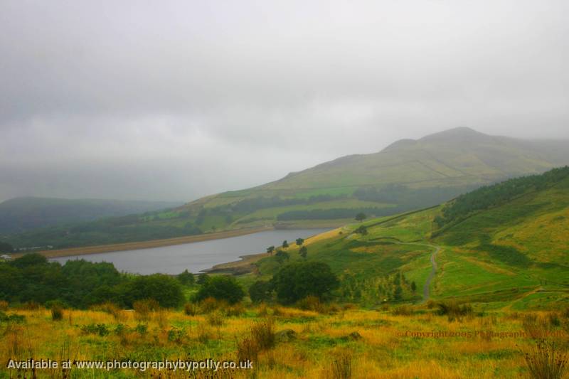 Misty Dove Stone