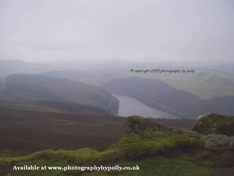 Misty Ressy