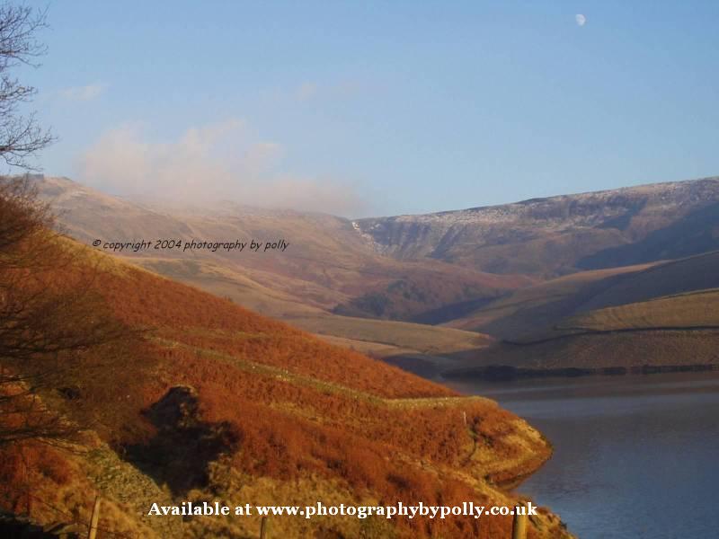 Oriental British Valley