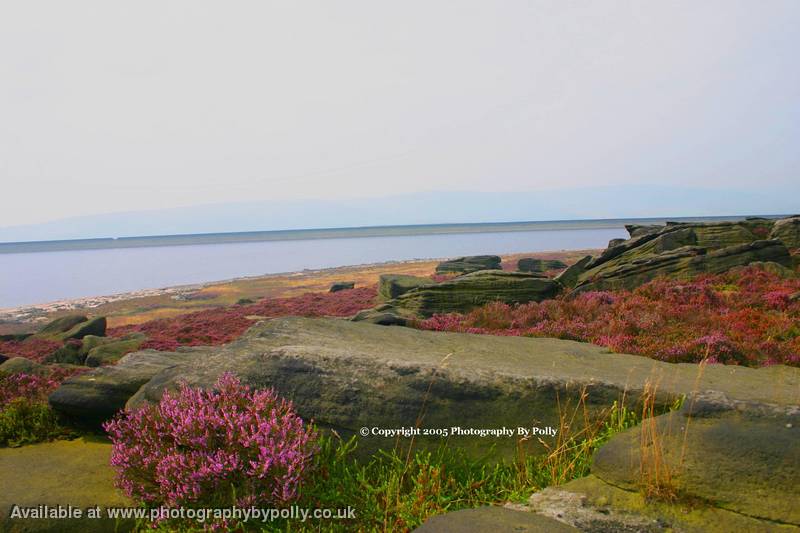 Pink Bay