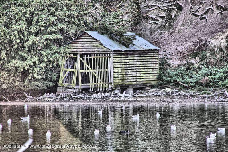 Ramshackle Shack