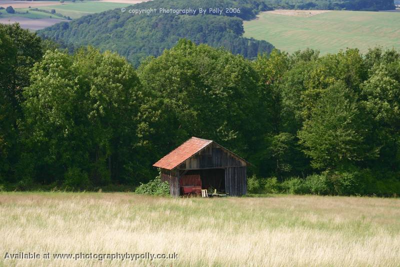 Ramshackle Shed