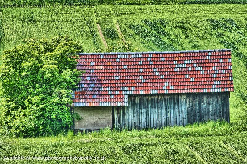 Red Roof