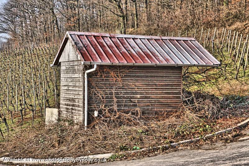 Red Roof 2