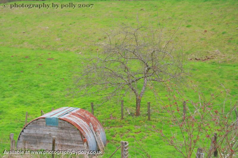 Sheep Shelter