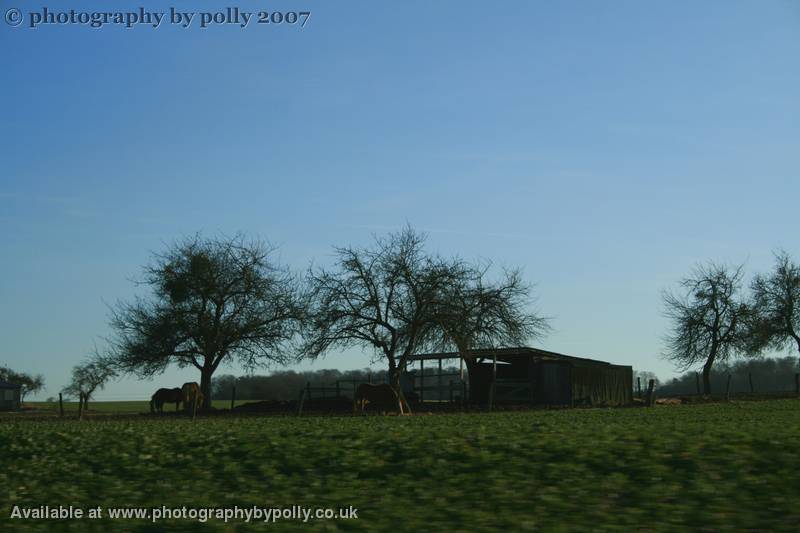 Stable Longing