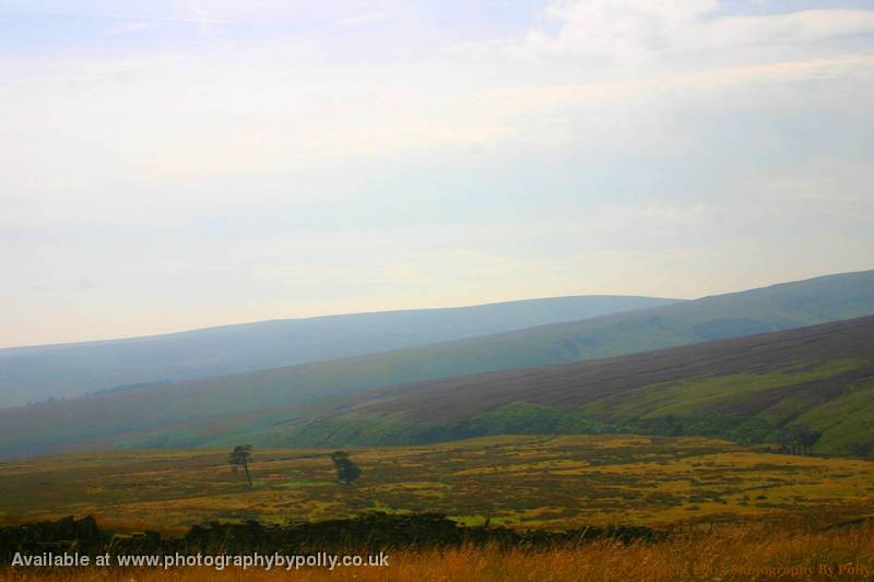 Staggering Plains