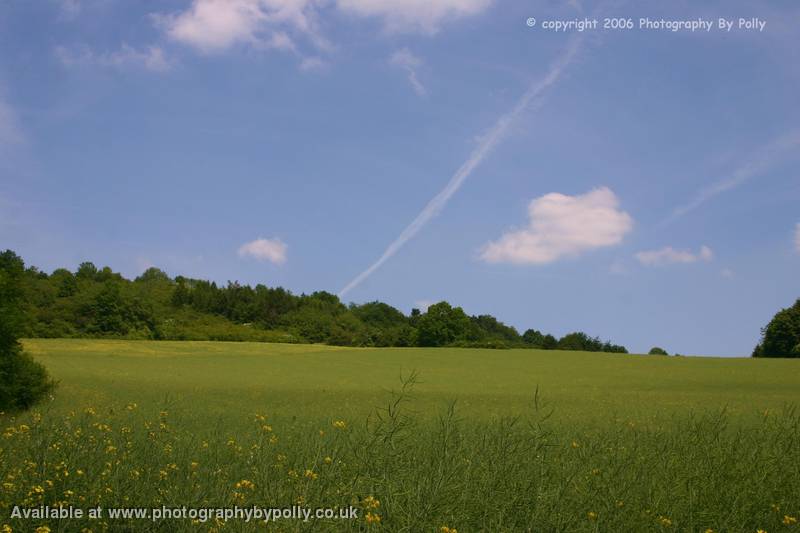 Summers Day