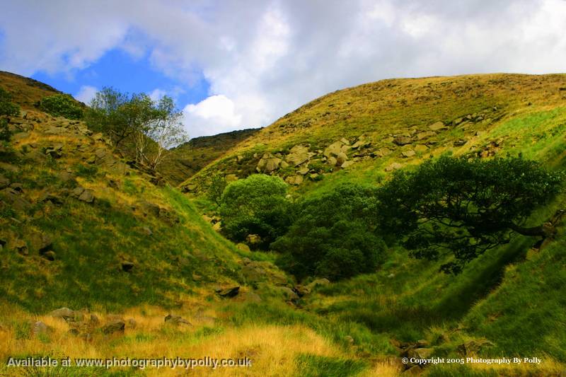 Sunny Clough