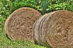 Bales 2