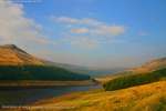 Dovestone 10